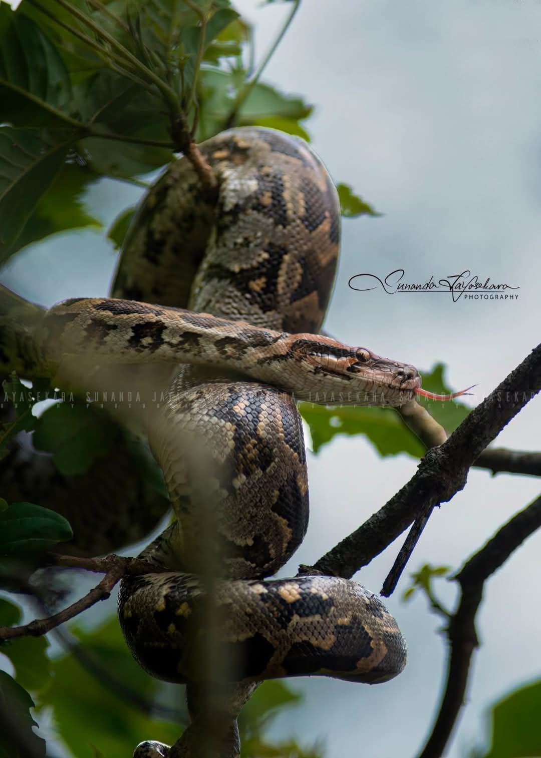 WhatsApp Image 2024-12-20 at 6.58.25 PM (1)