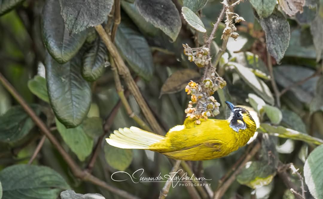 WhatsApp Image 2024-12-20 at 6.58.25 PM