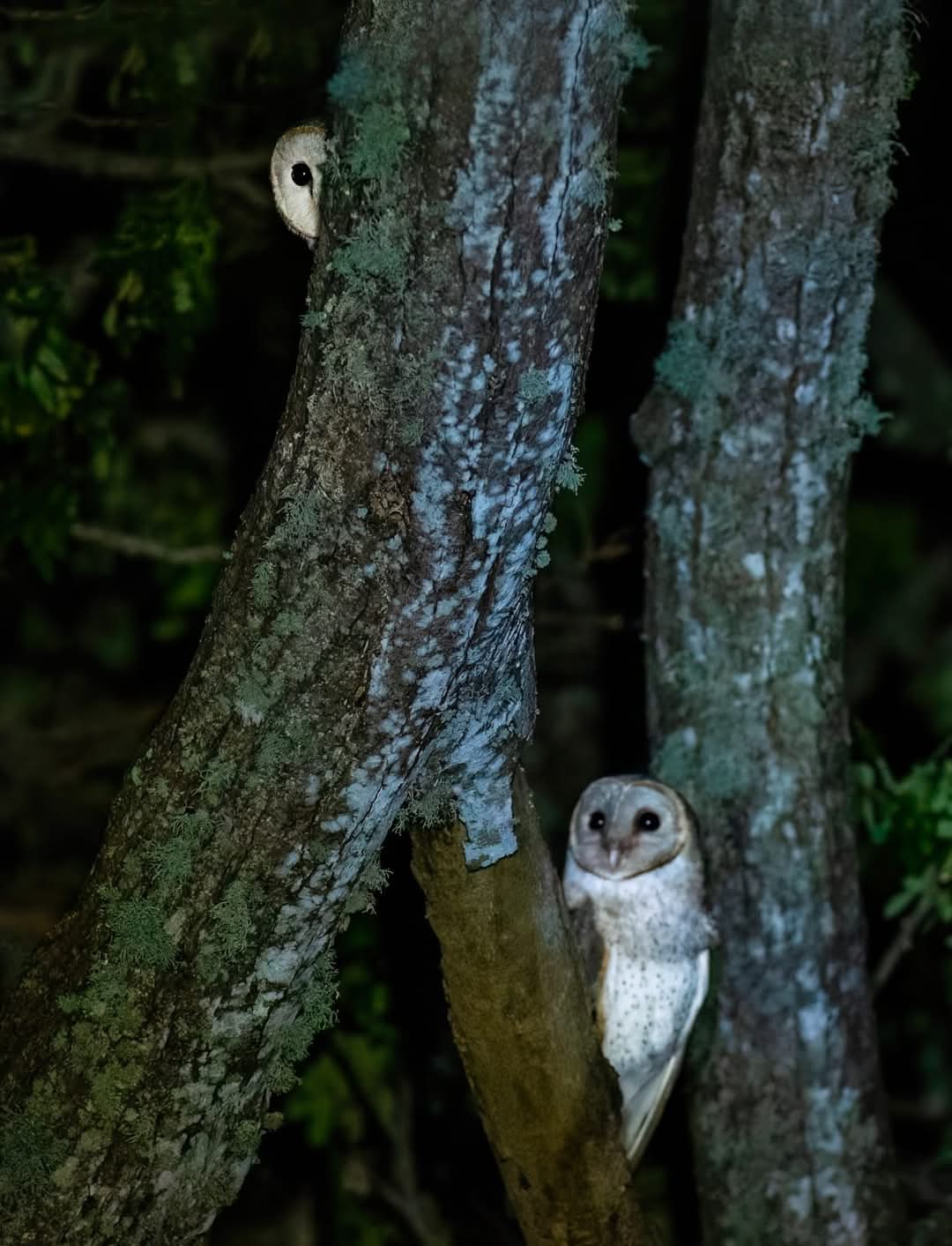 WhatsApp Image 2024-12-20 at 6.58.33 PM