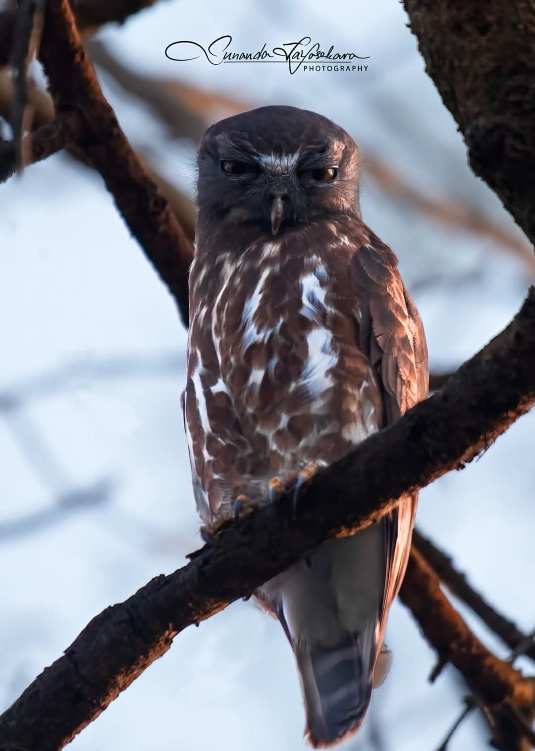 WhatsApp Image 2024-12-20 at 6.58.34 PM