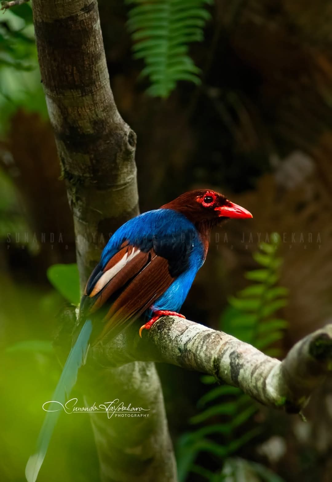 WhatsApp Image 2024-12-20 at 6.58.40 PM