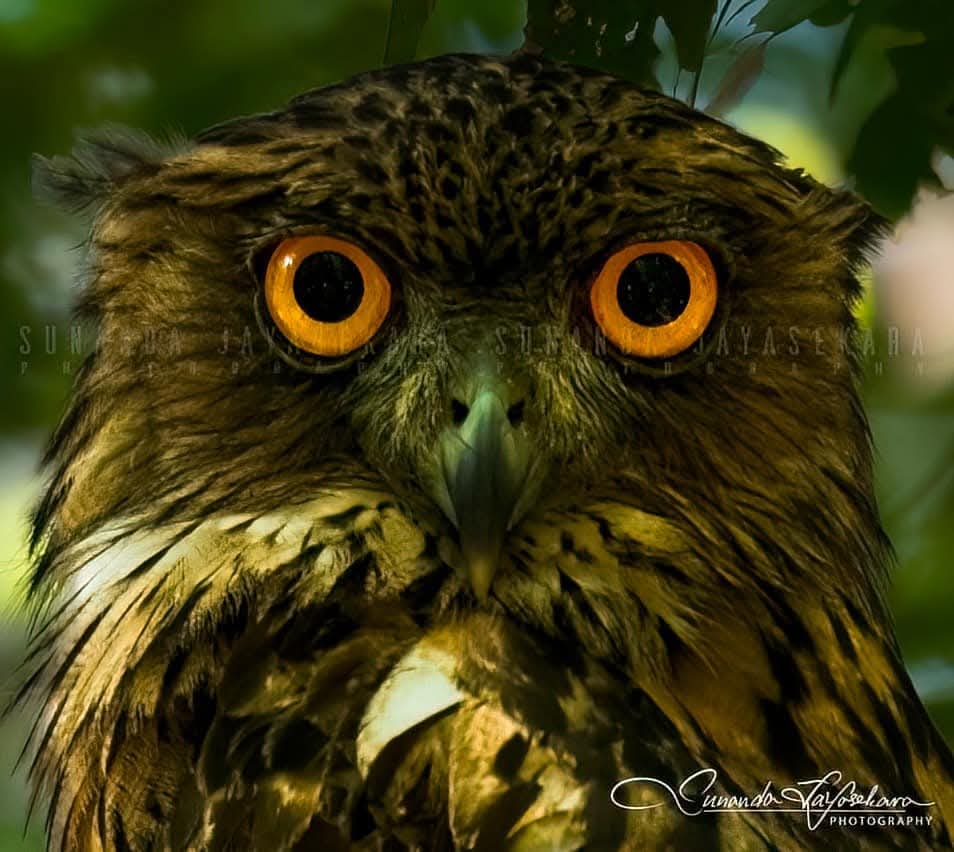 WhatsApp Image 2024-12-20 at 6.58.41 PM