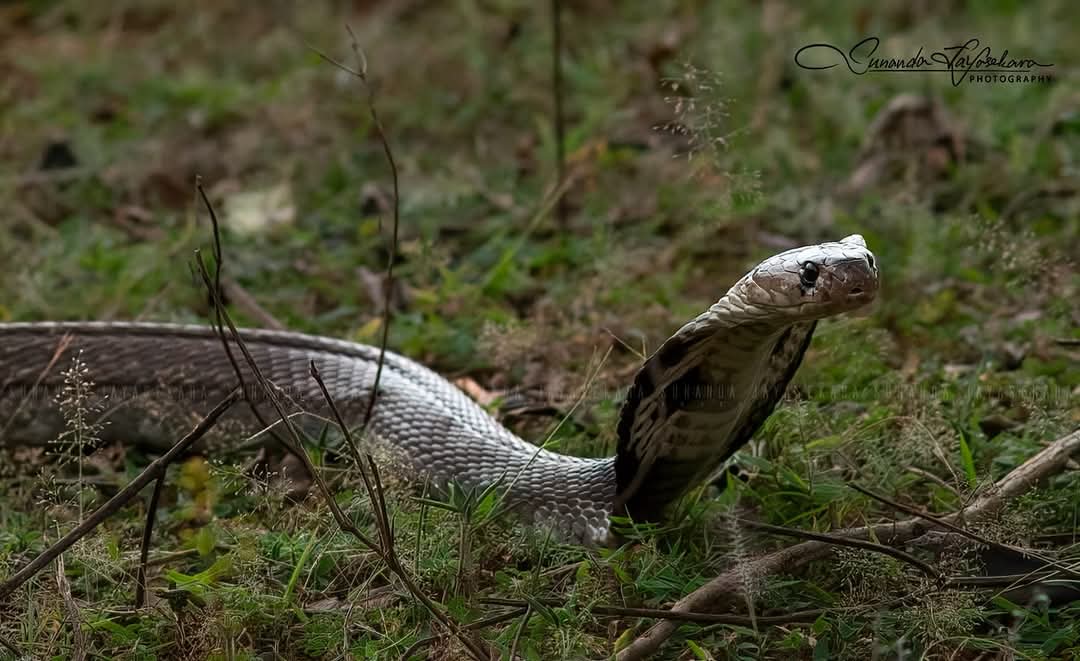 WhatsApp Image 2024-12-20 at 6.58.54 PM (10)