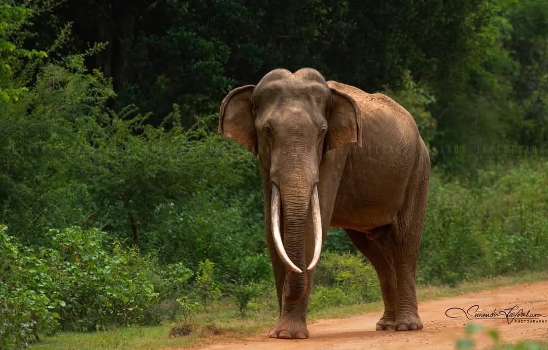 WhatsApp Image 2024-12-20 at 6.58.55 PM