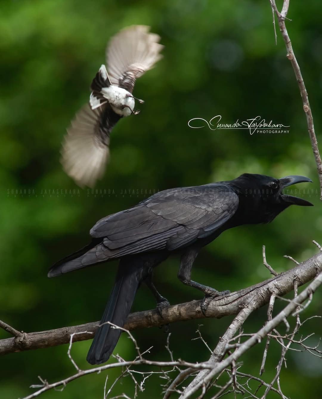 WhatsApp Image 2024-12-20 at 6.58.57 PM