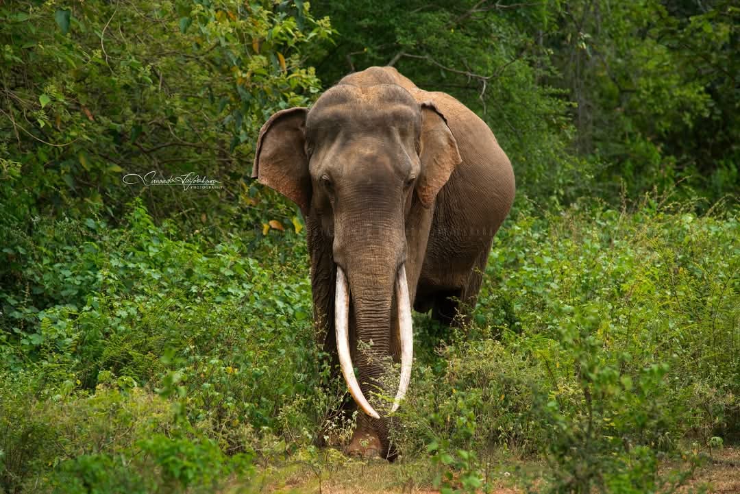 WhatsApp Image 2024-12-20 at 6.58.58 PM