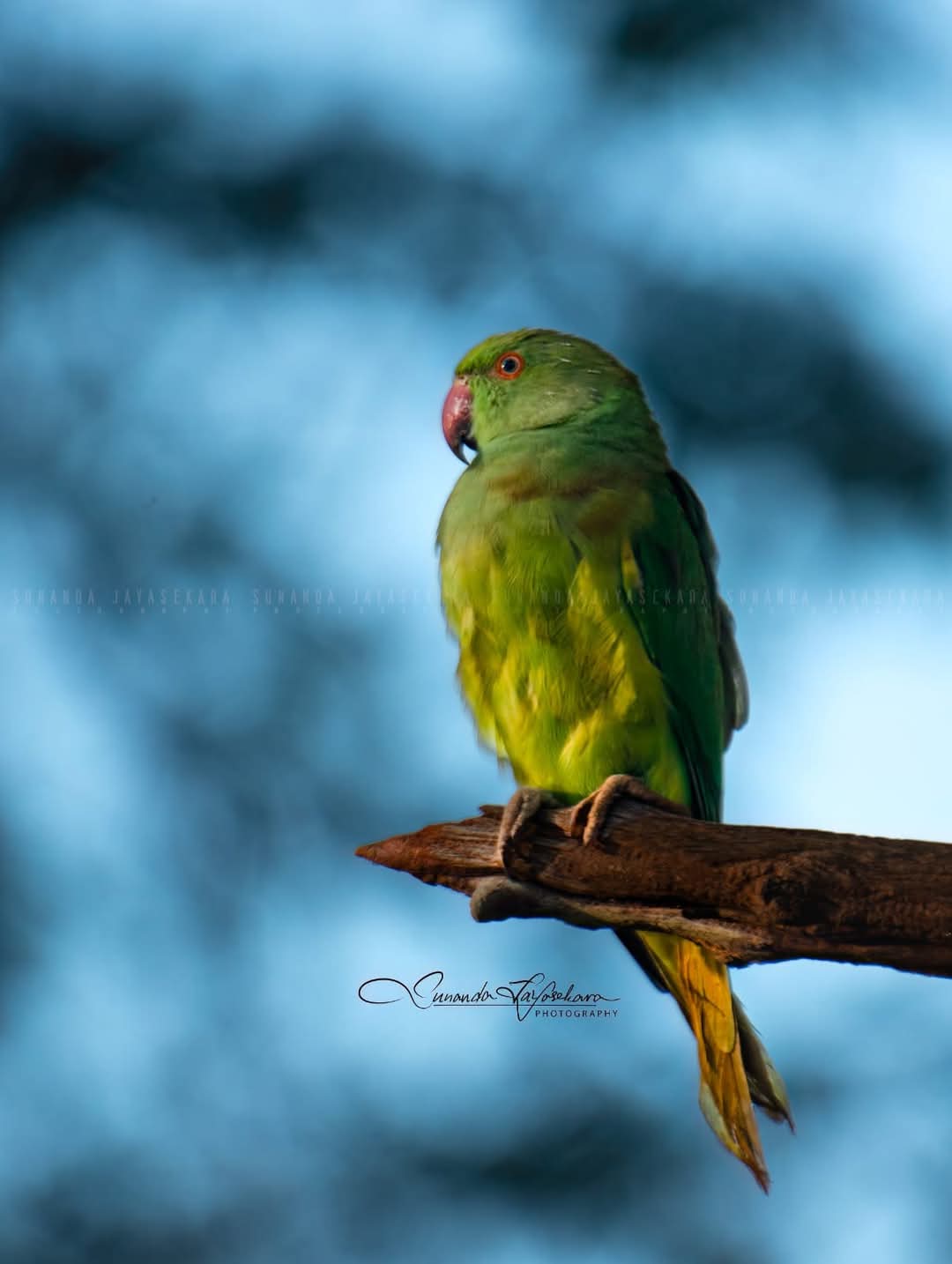 WhatsApp Image 2024-12-20 at 6.59.00 PM